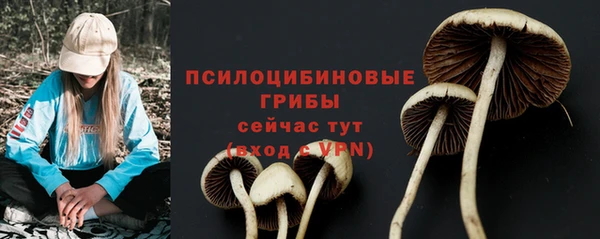спиды Алзамай