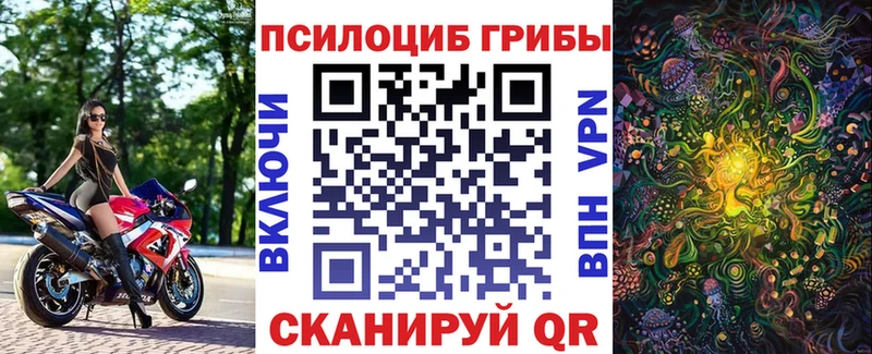 Галлюциногенные грибы Psilocybe Лесосибирск